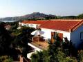 Delfinia